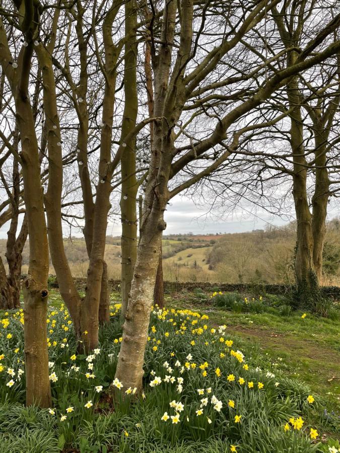 Hill House B & B & Luxury Shepherds Huts Castle Combe Dış mekan fotoğraf